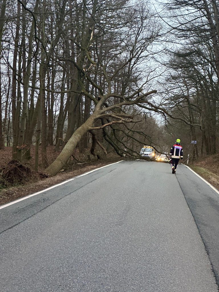 Weiteres Bild zum Einsatz